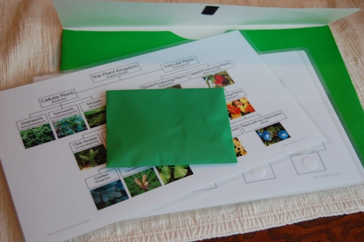 folder2 folder2