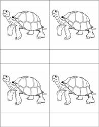Parts of Reptile Master